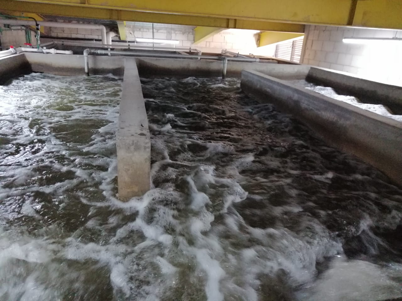 Supervisión planta biológica Buyán Apartments, Yucatán