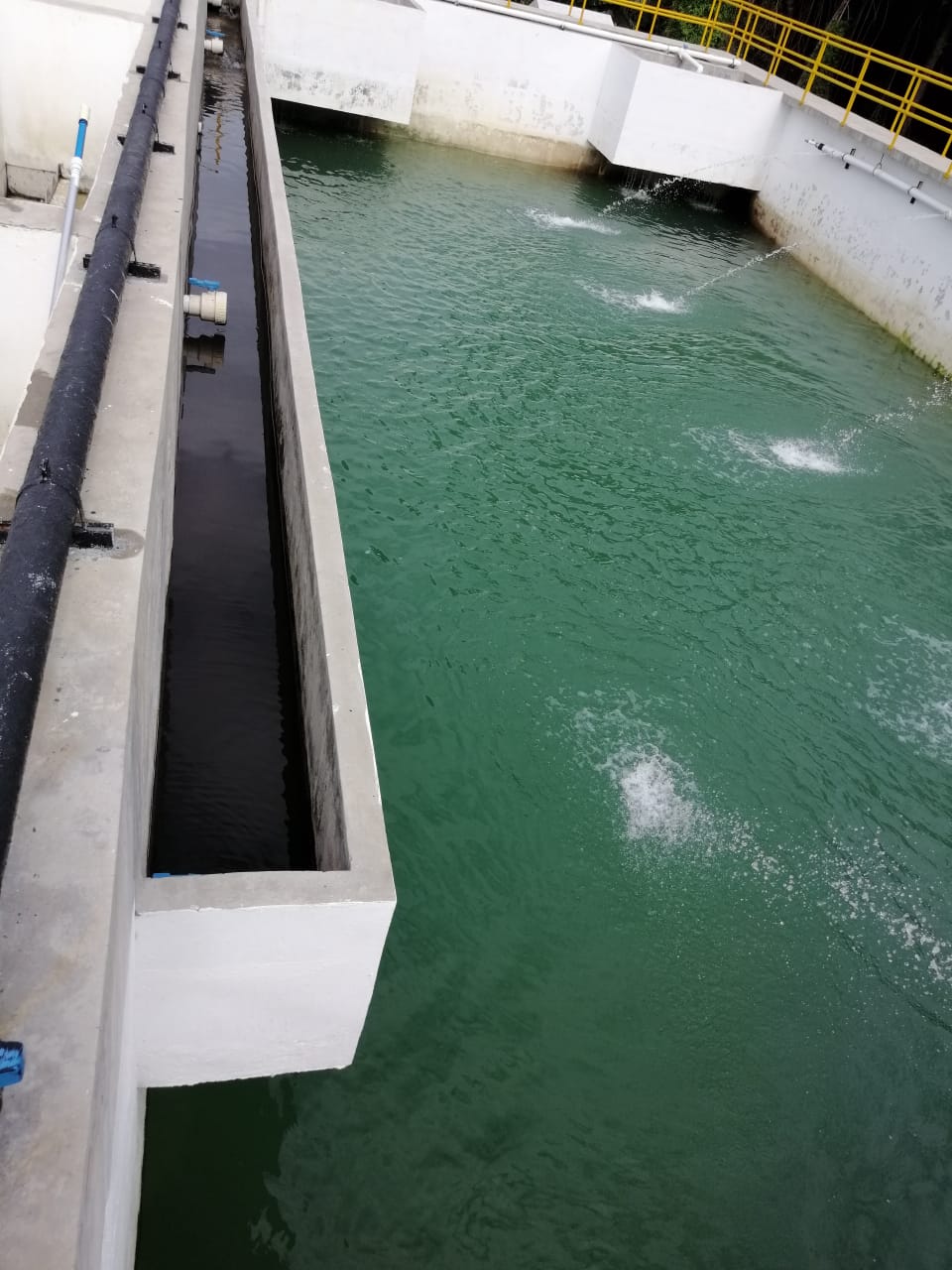 Supervisión técnica planta de tratamiento Princess Hotels & Resorts, Cancún